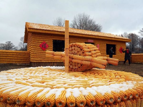 Ngôi nhà xây từ bắp ngô là một công trình nghệ thuật. Ảnh: Eva
